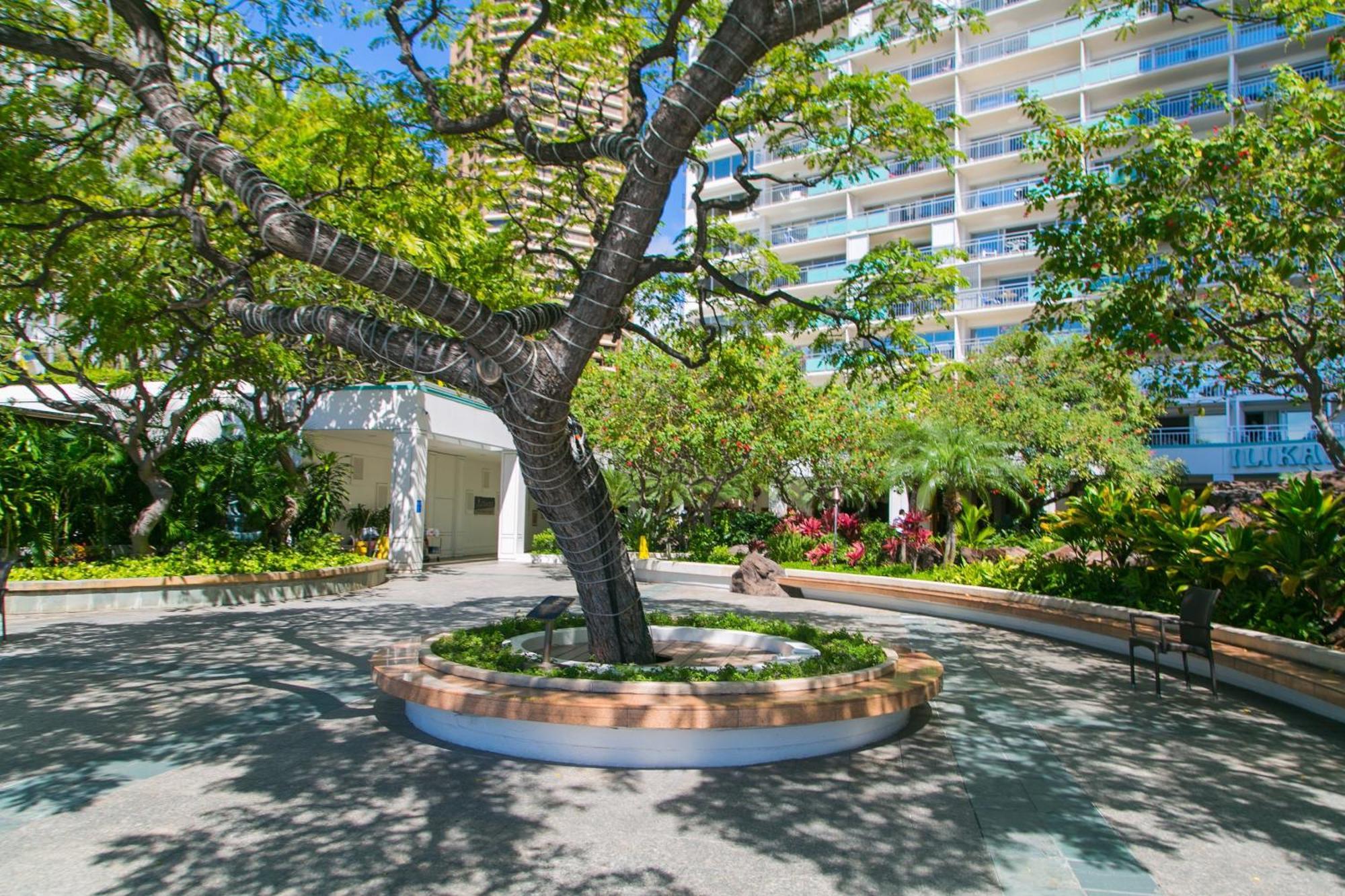 檀香山Ilikai Tower 931 Yacht Harbor View 1Br公寓 外观 照片
